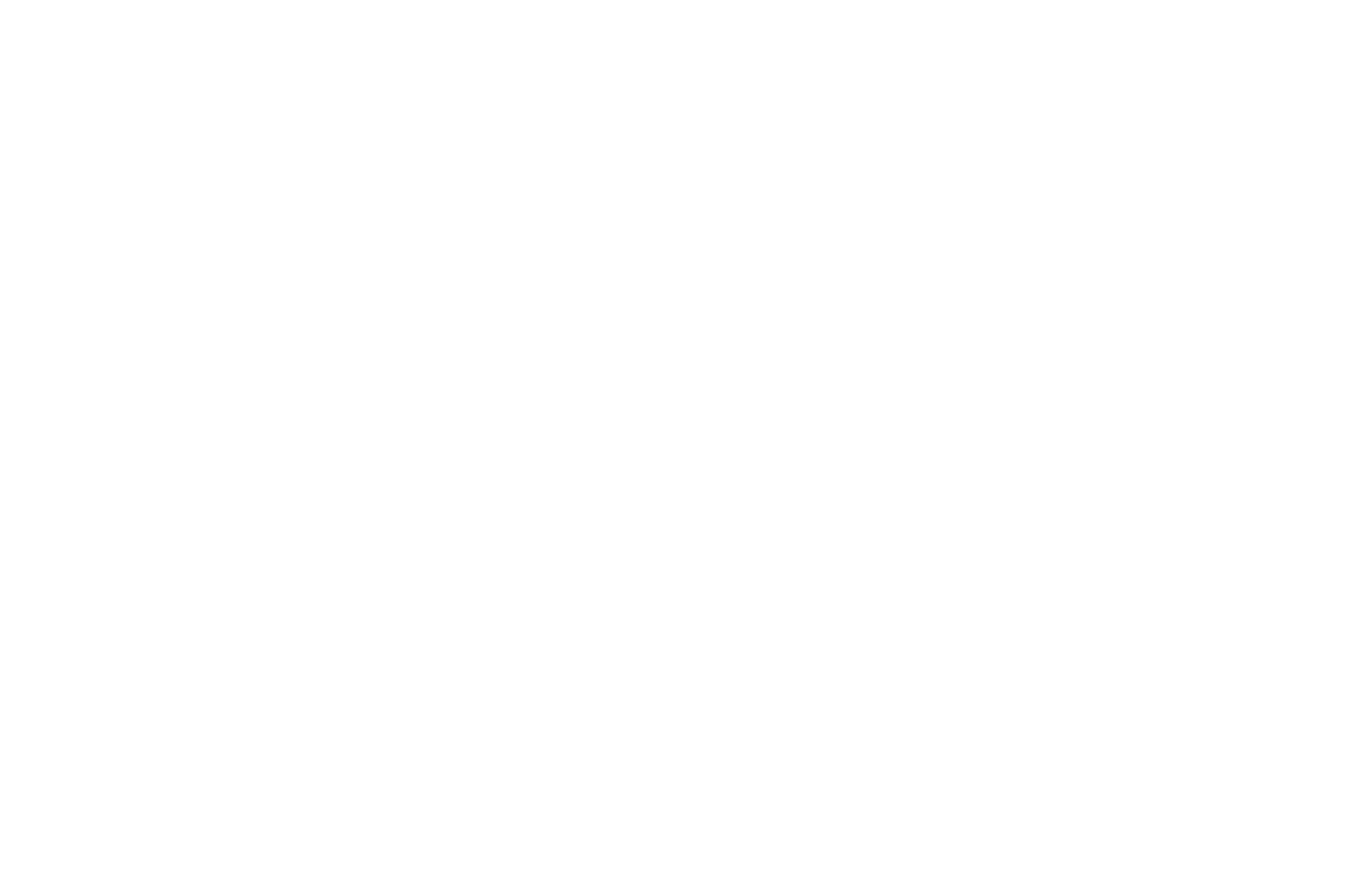 BraveBrand